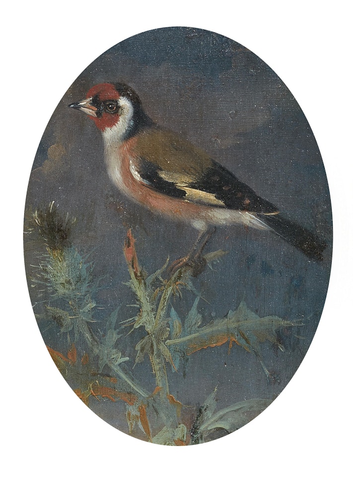 Pair of Depictions of Songbirds by German School