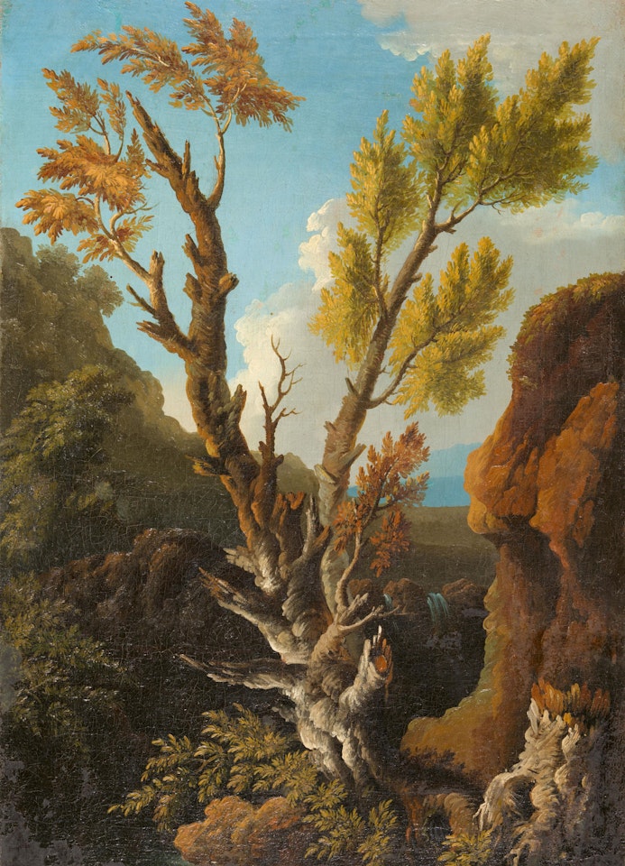 Olive Tree in a Mountainous Landscape with Waterfall by Jacob Philipp Hackert