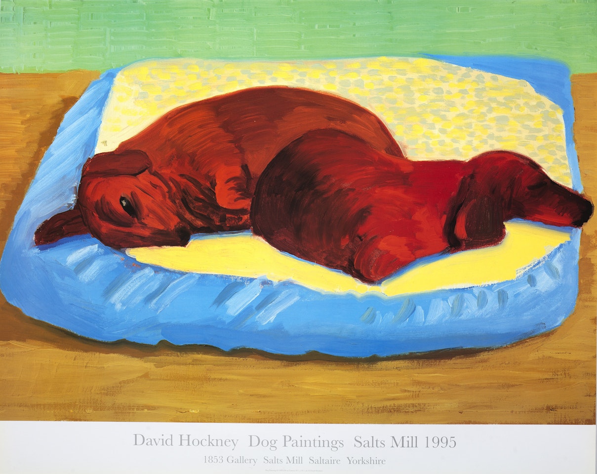 Dog Paintings by David Hockney