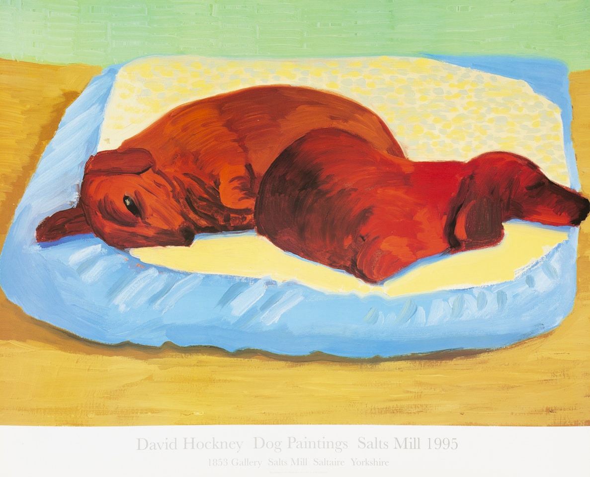 Dog Paintings by David Hockney