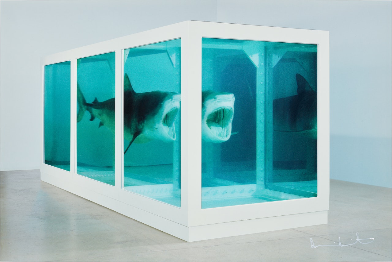 The Physical Impossibility of Death in the Mind of Someone Living by Damien Hirst