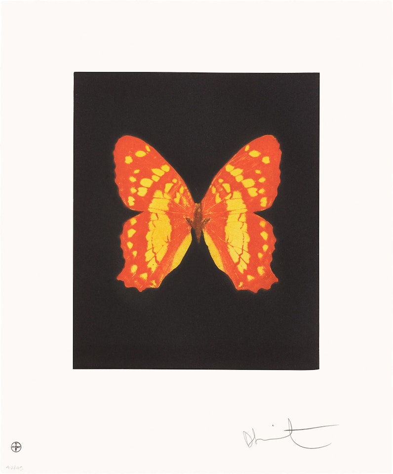 Emerge, from Butterfly Etchings by Damien Hirst