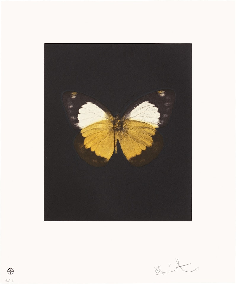 Reveal, from Butterfly Etchings by Damien Hirst
