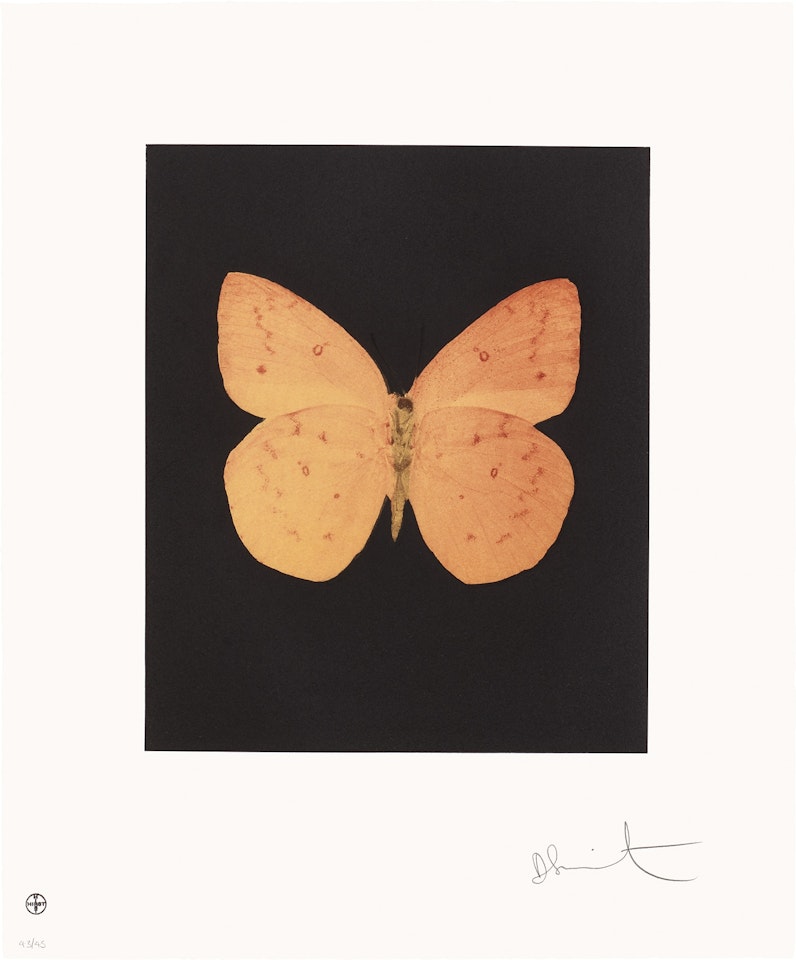 Prosperity, from Butterfly Etchings by Damien Hirst