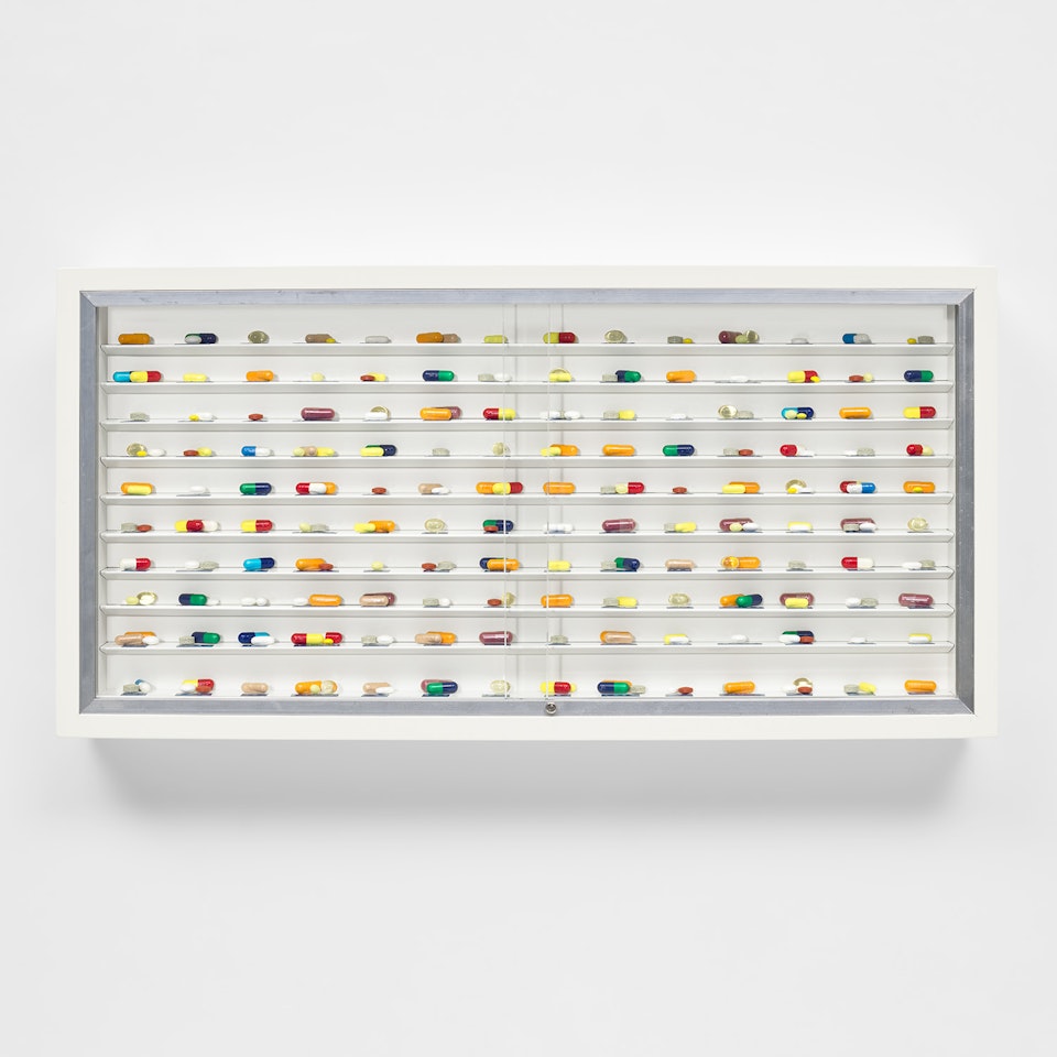Day in Day Out by Damien Hirst