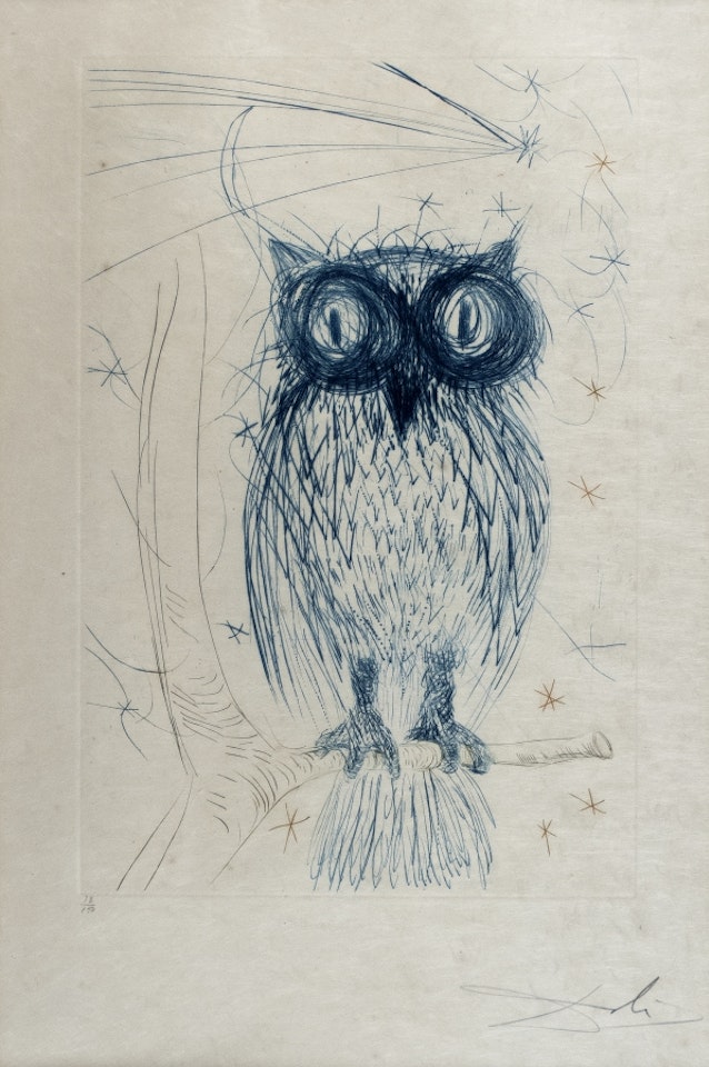 La chouette bleue by Salvador Dali