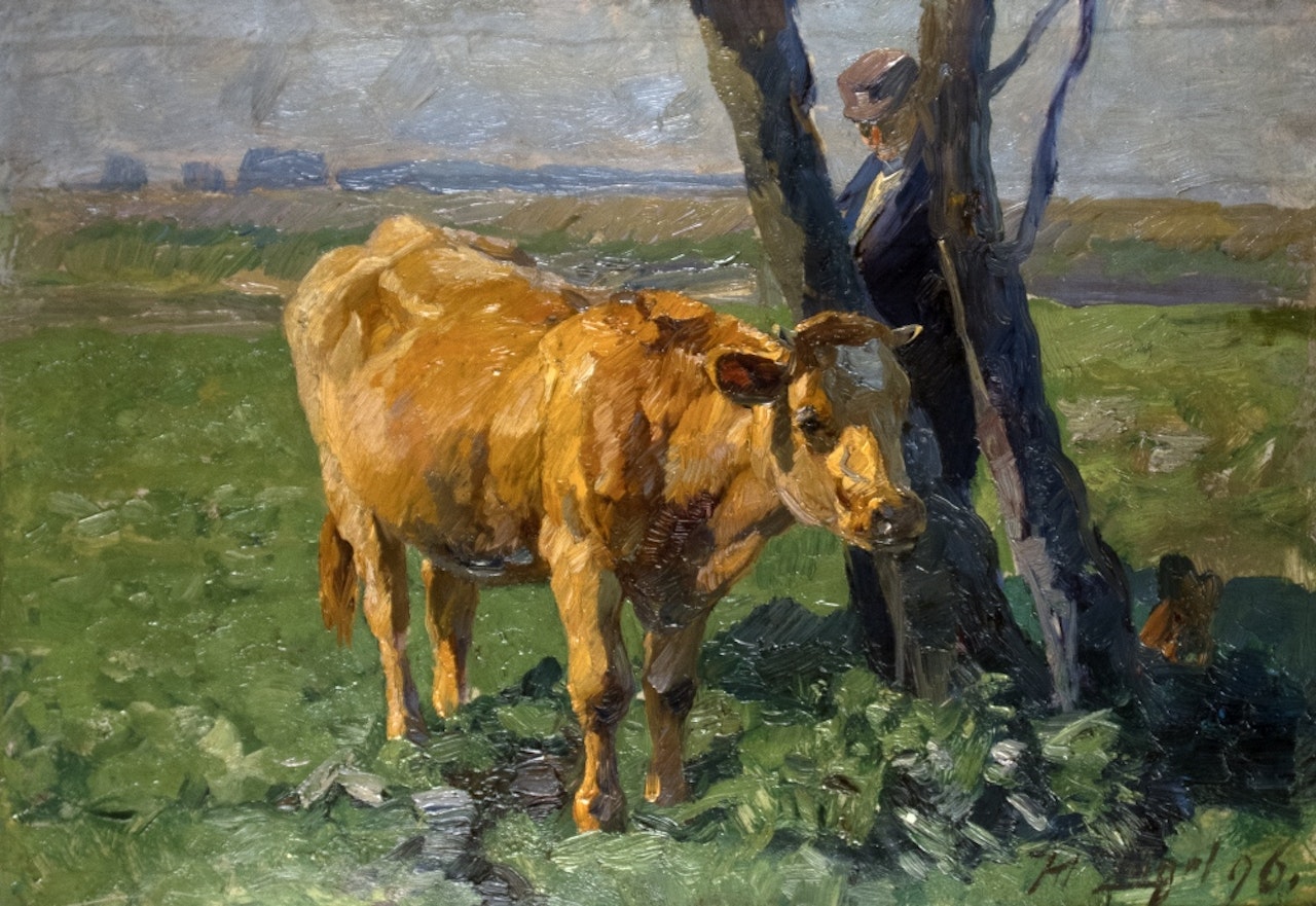 Calf in the sunlight by Heinrich von Zugel