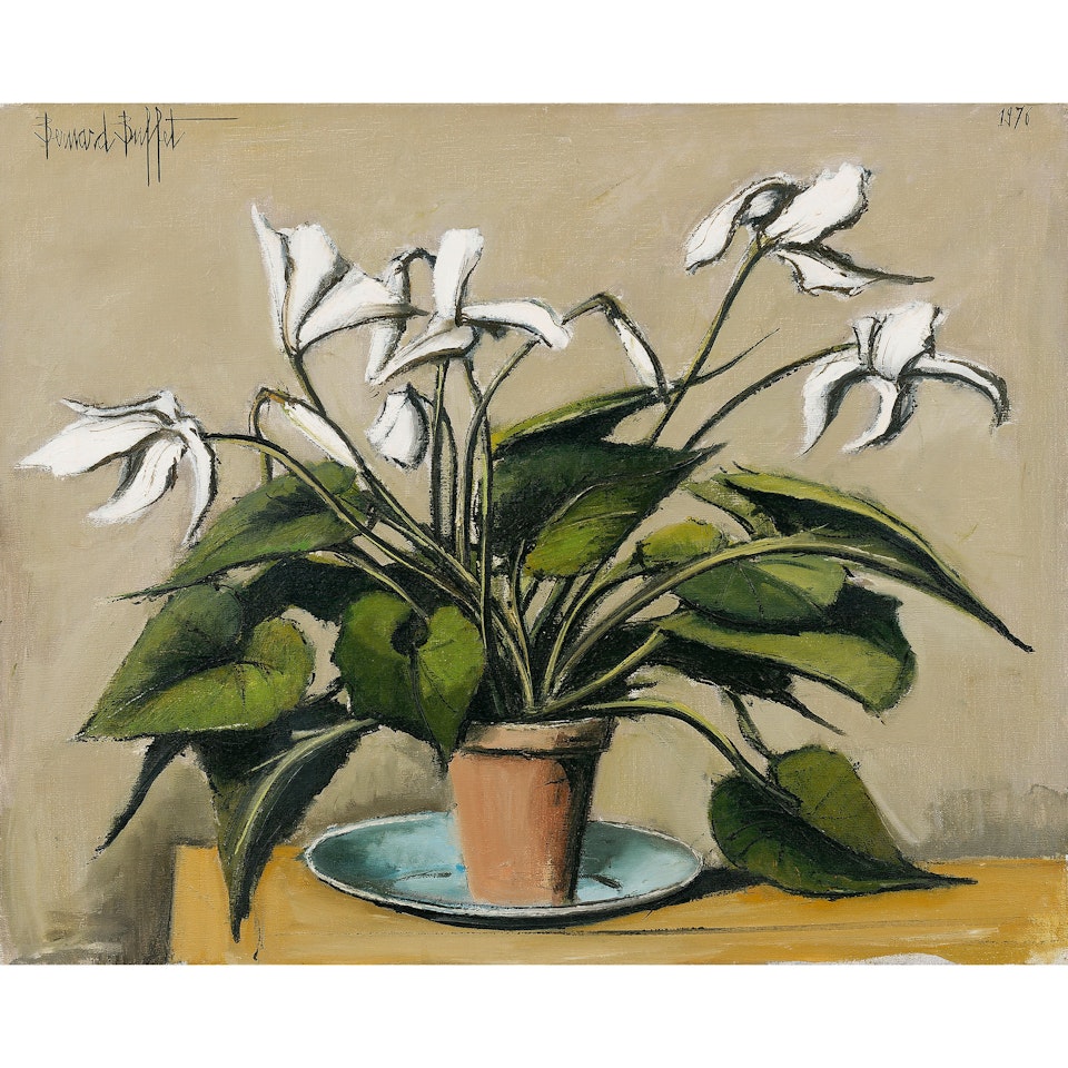 White cyclamens by Bernard Buffet