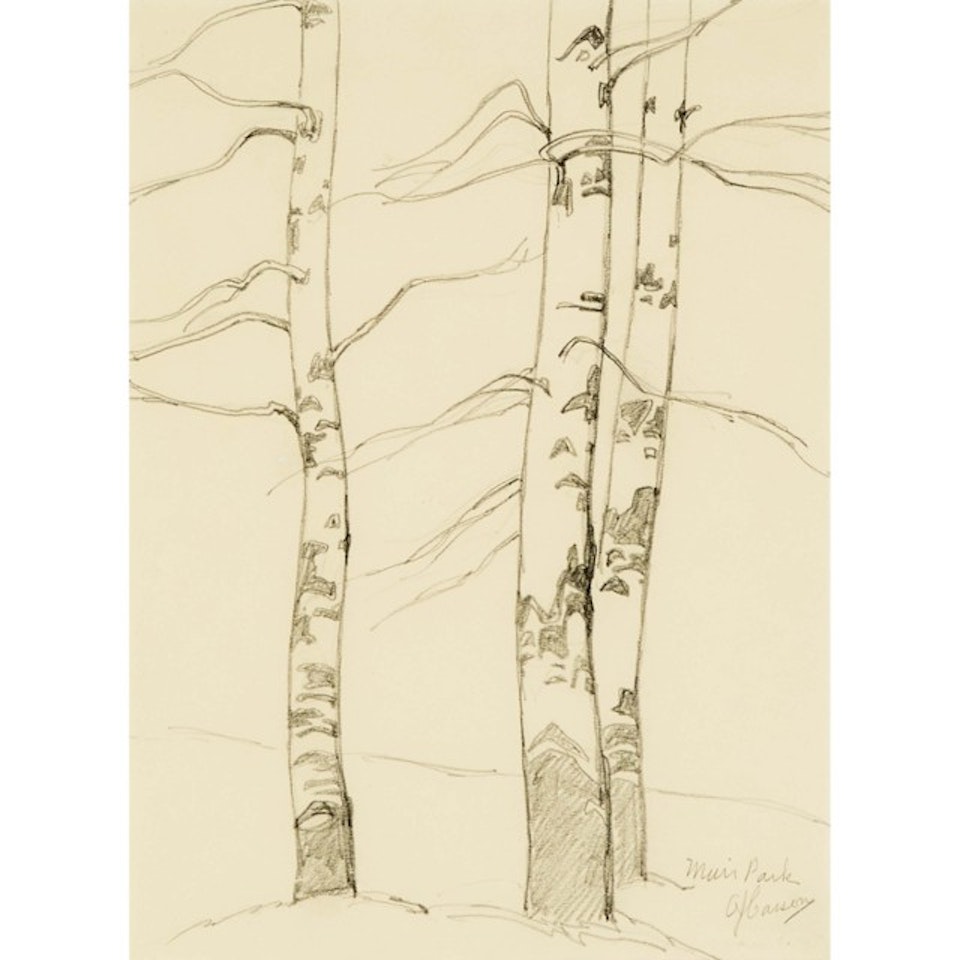 MUIR PARK by Alfred Joseph Casson
