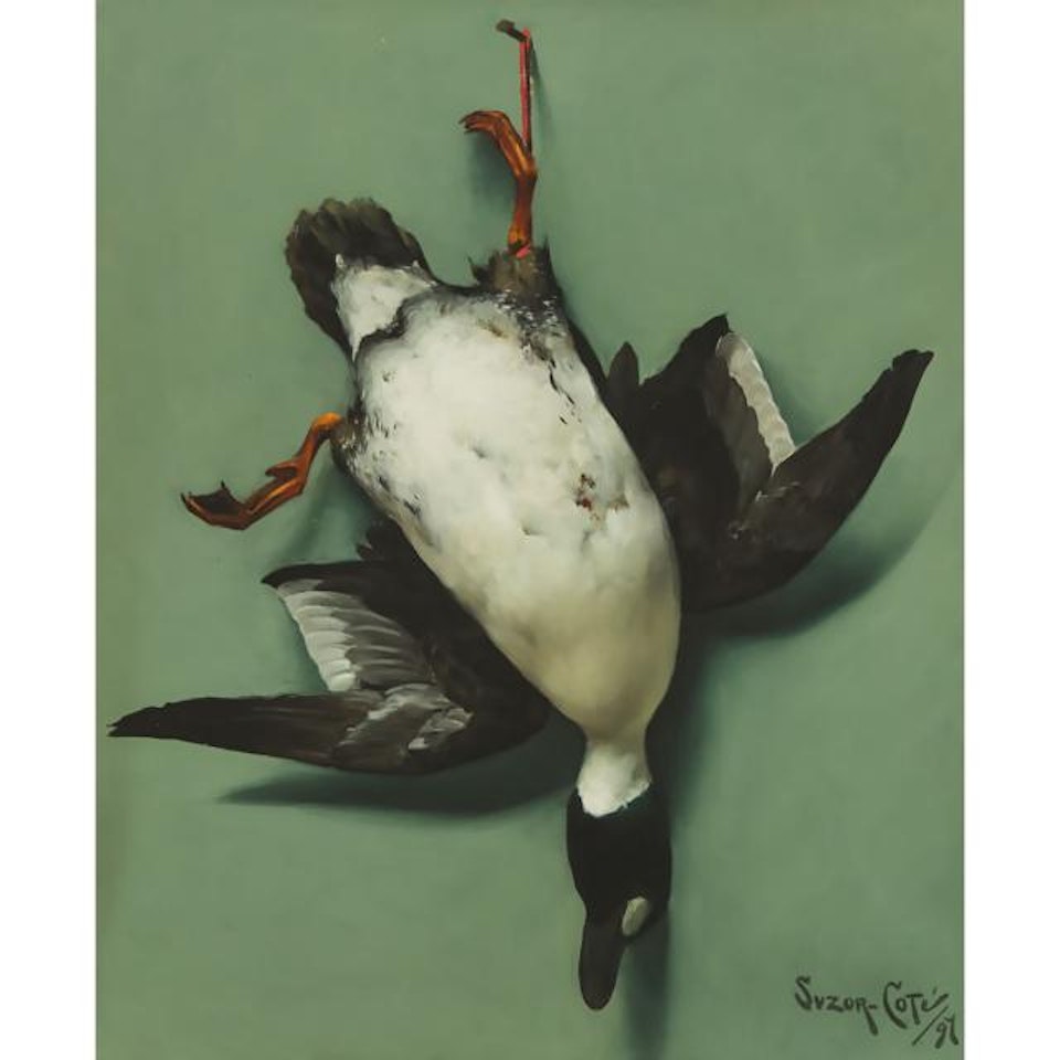 UNTITLED (COMMON GOLDENEYE) by Marc-Aurele de Foy Suzor-Cote