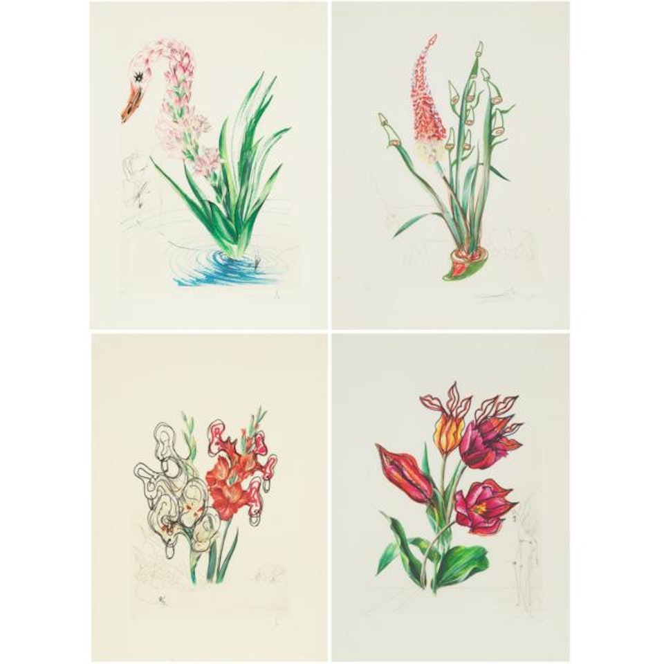 FOUR FLOWERS (FROM FLORALS) by Salvador Dali