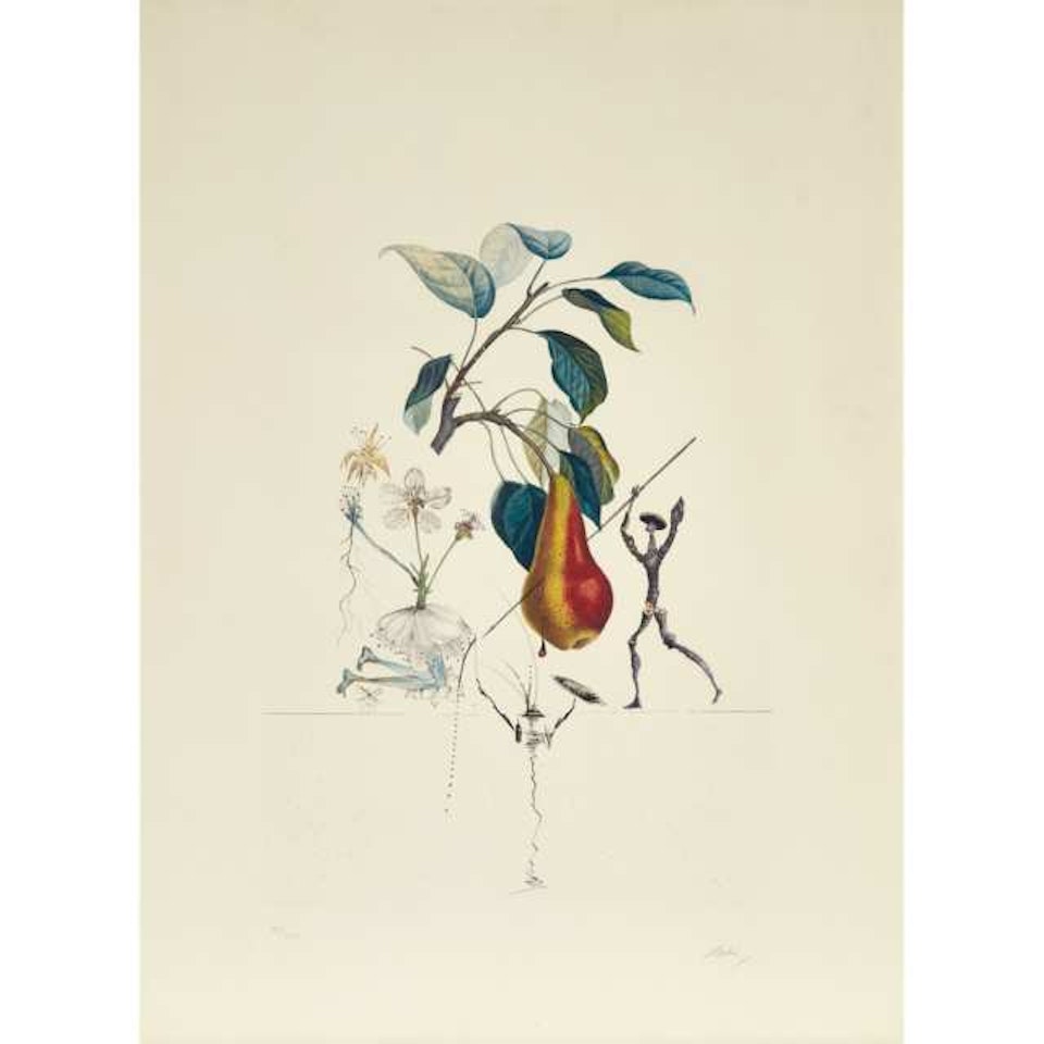POIRE DON QUIXOTE (PEAR), FROM FLORDALI (LES FRUITS); [FIELD, 69-II.H] by Salvador Dali