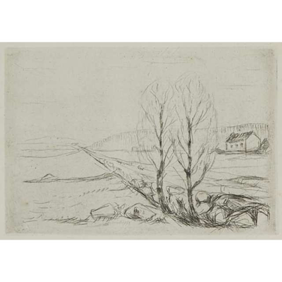 NORWEGISCHE LANDSCHAFT (NORSK LANDSKAP) (FROM DIE KUNST DES RADIERENS), FINAL STATE by Edvard Munch