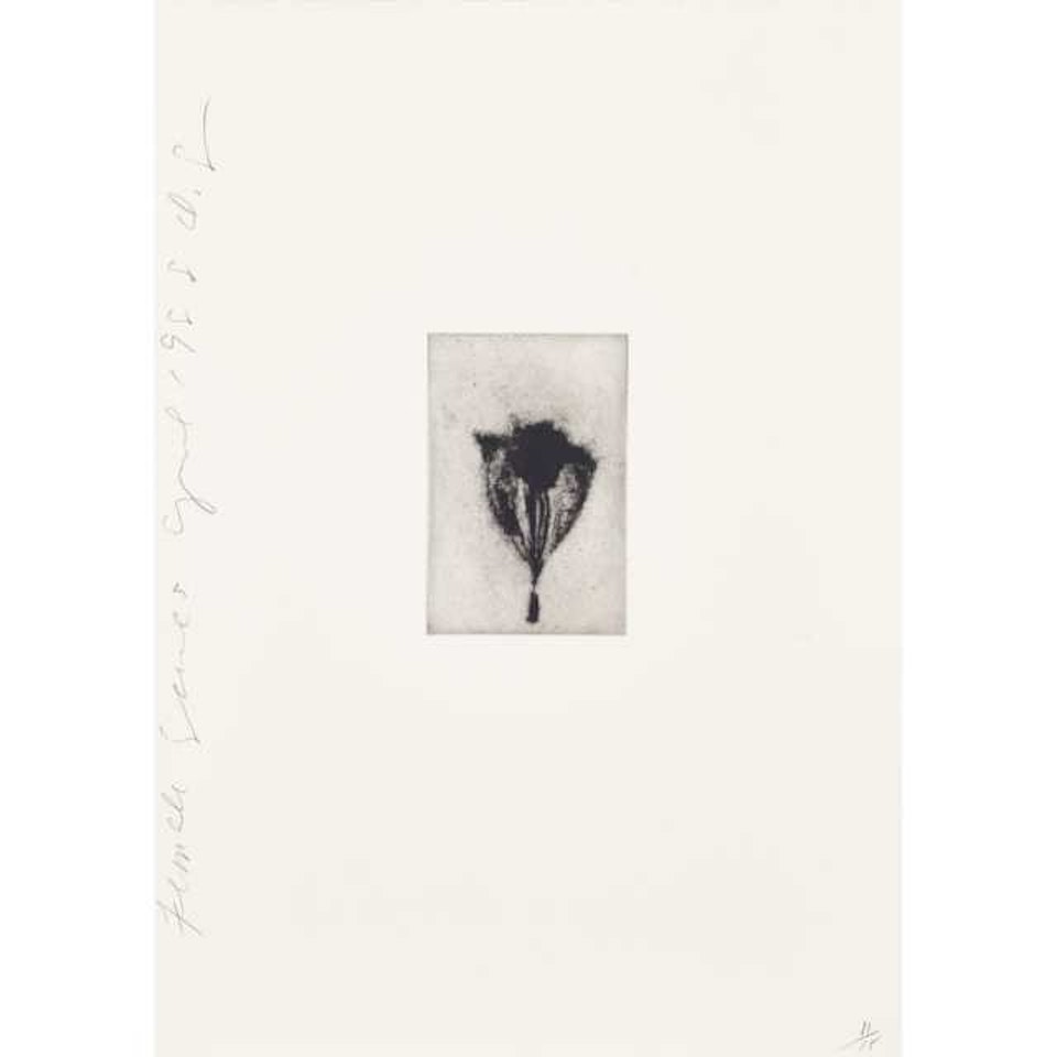FEMALE SERIES, APRIL 1988 (SUITE OF 11) by Donald Sultan