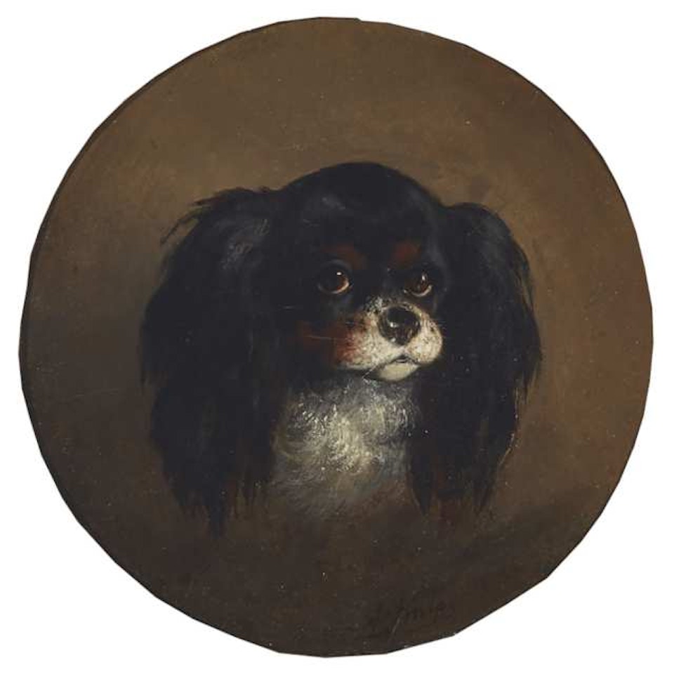 MY FAVOURITE KING CHARLES SPANIEL by August Knip