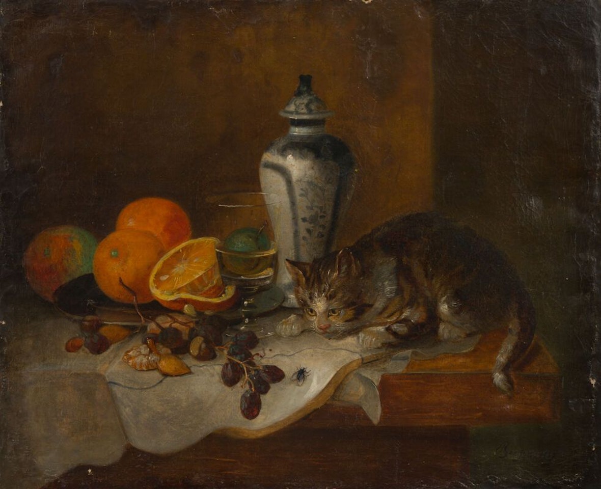 Still life with cat by French School