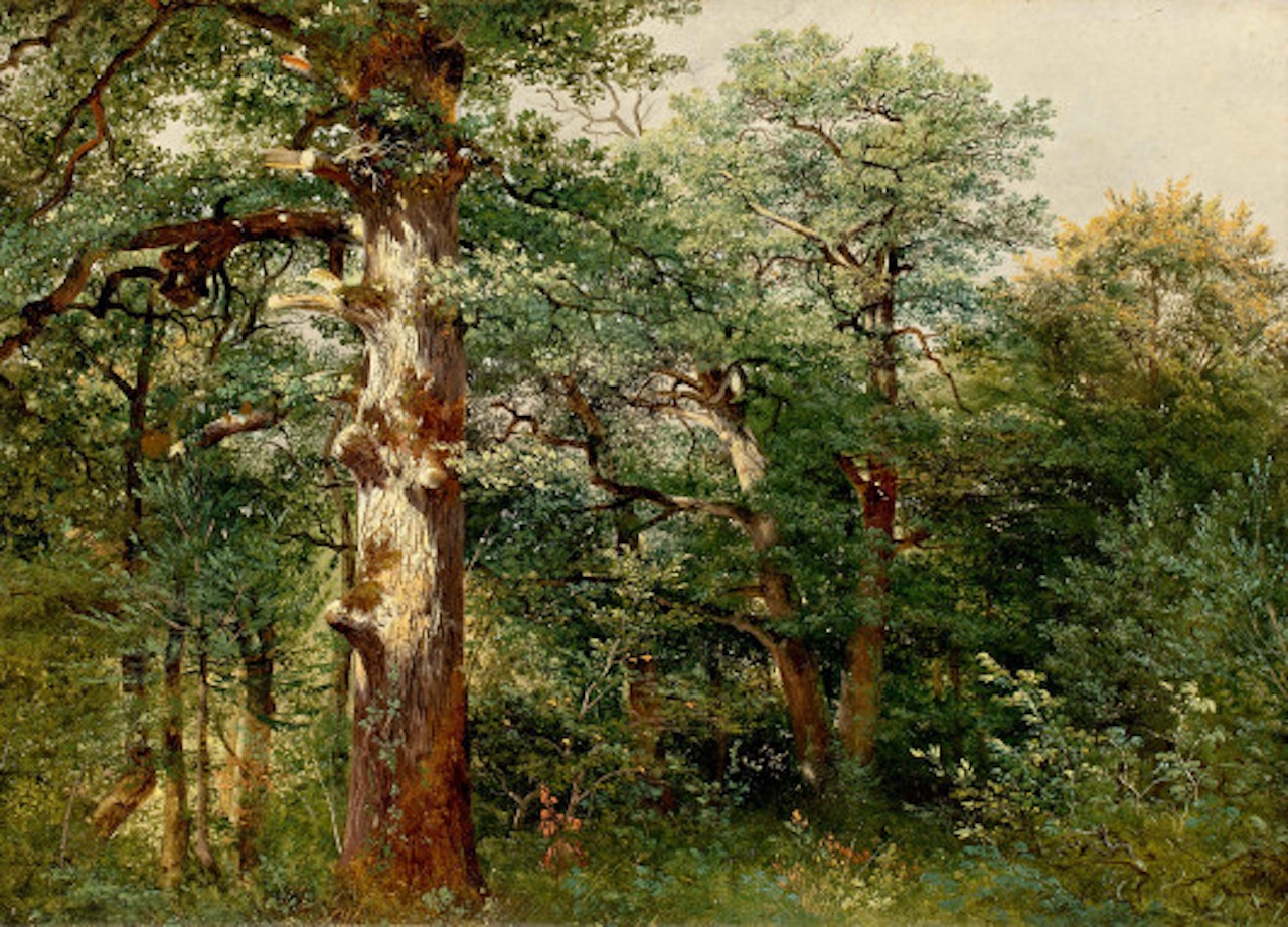 Chênes, in the forest of Sauvabelin by Alexandre Calame