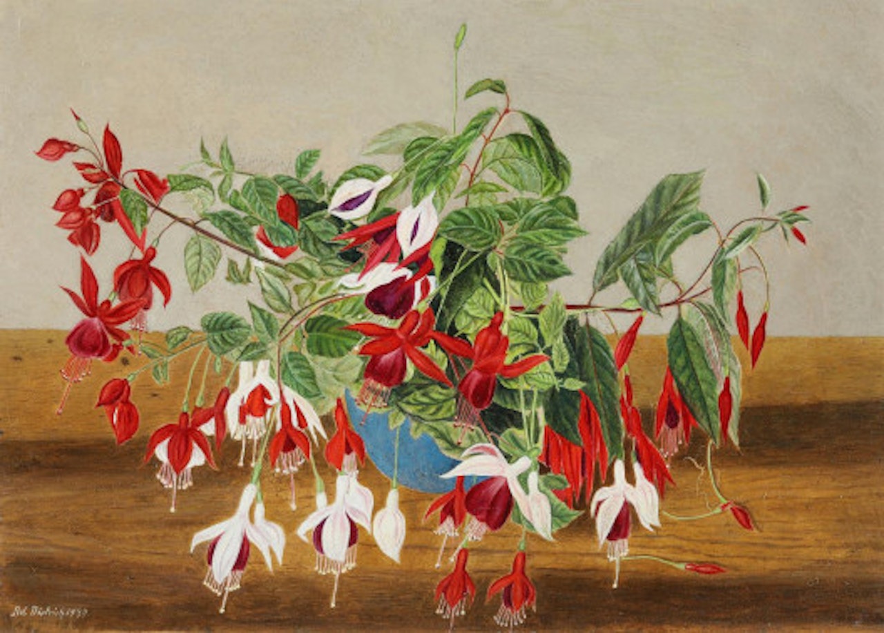 Fuchsia bouquet in a blue vase by Adolf Dietrich