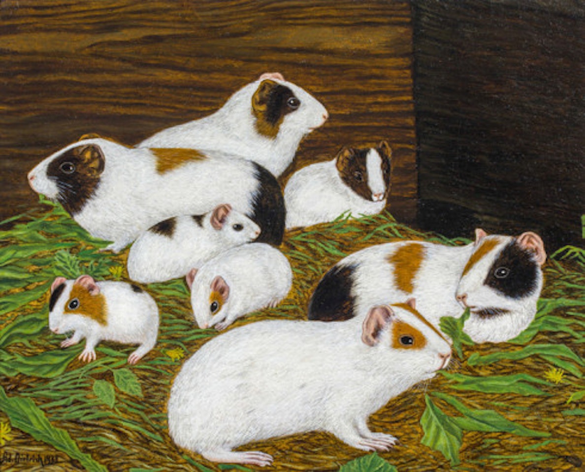Eight guinea pigs by Adolf Dietrich