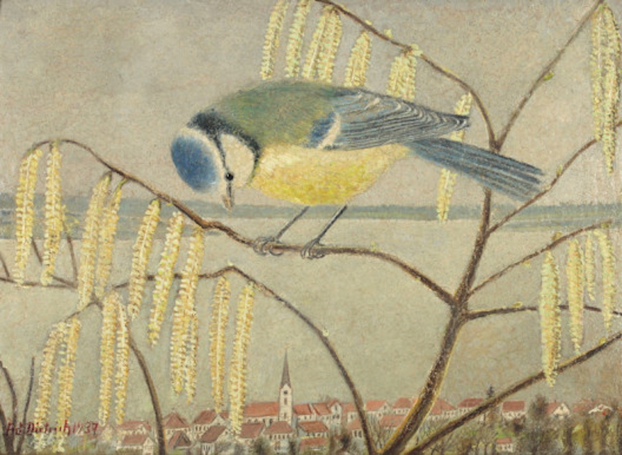 Blue tit by Adolf Dietrich
