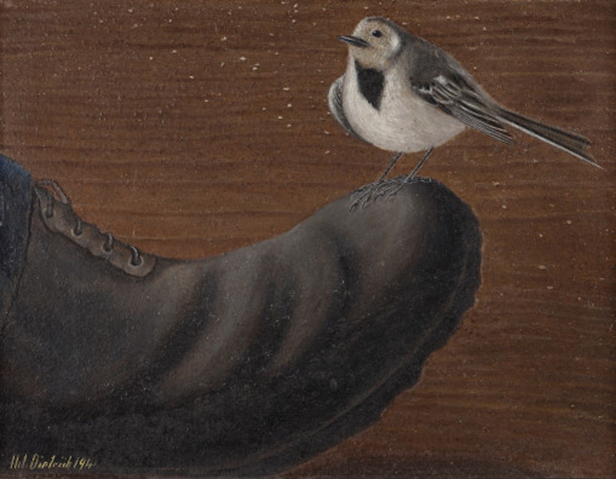 Wagtail on my shoe by Adolf Dietrich