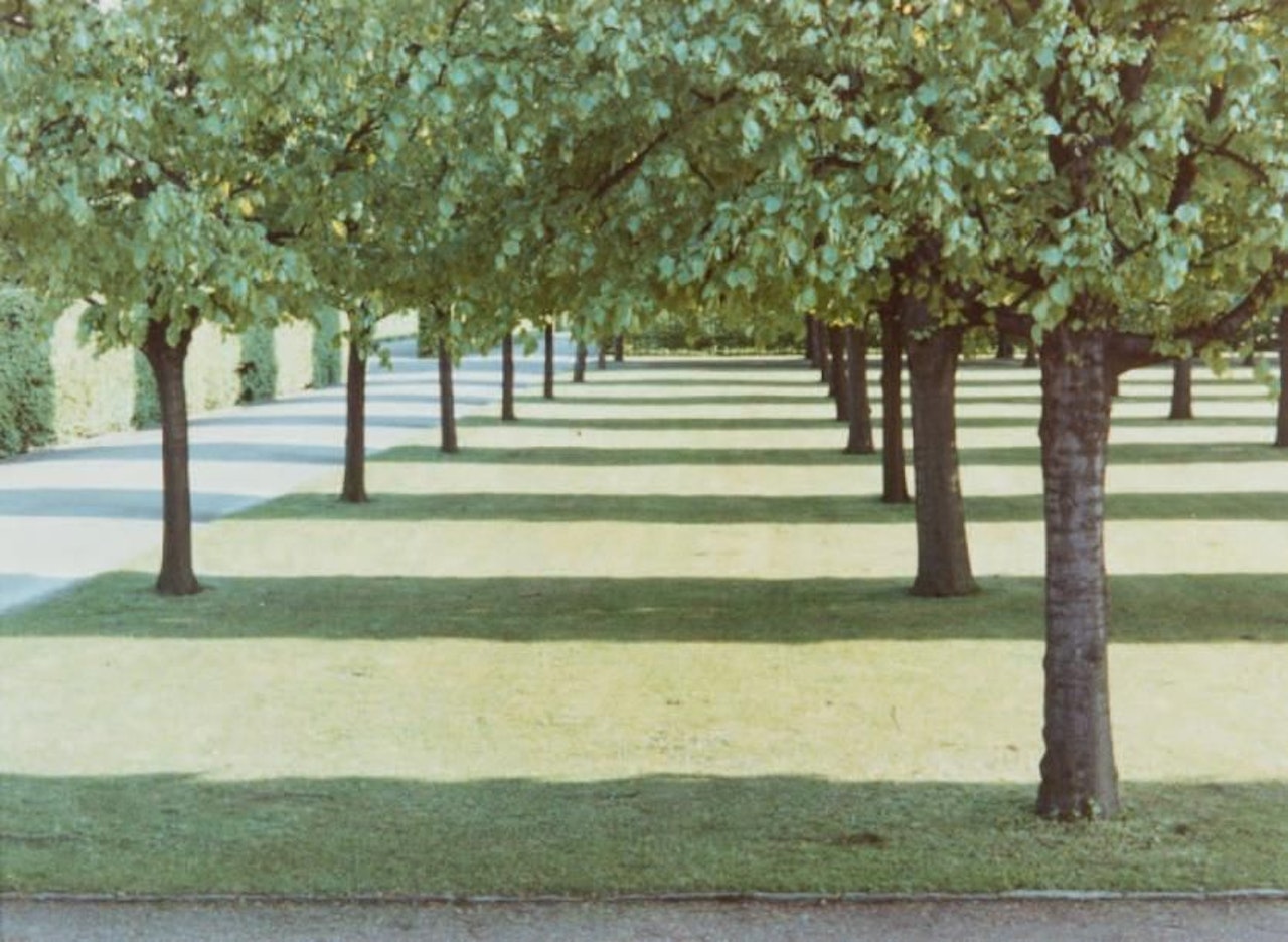 Herrenhauserpark, Hannover by David Hockney