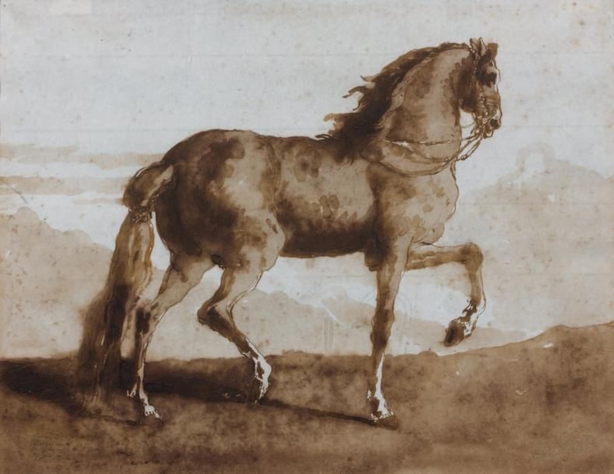 79; A horse in profile Brown wash by Giovanni Domenico Tiepolo
