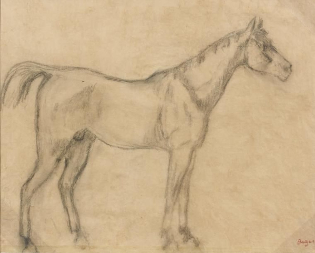 Horse in profile to the right by Edgar Degas