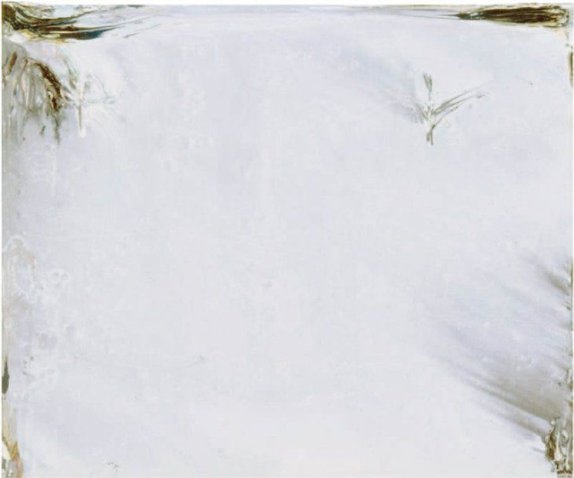 BLANCHE, GRISE, SAVOIR by Olivier Debre