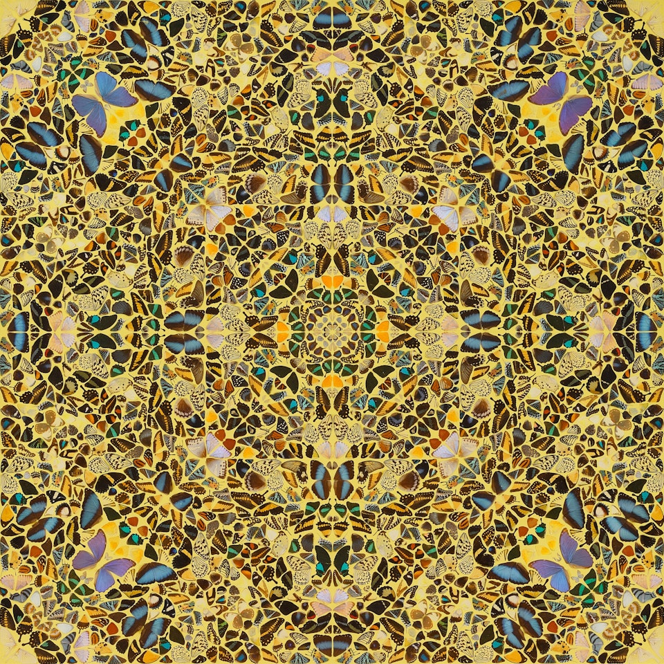 Beautiful Architect by Damien Hirst