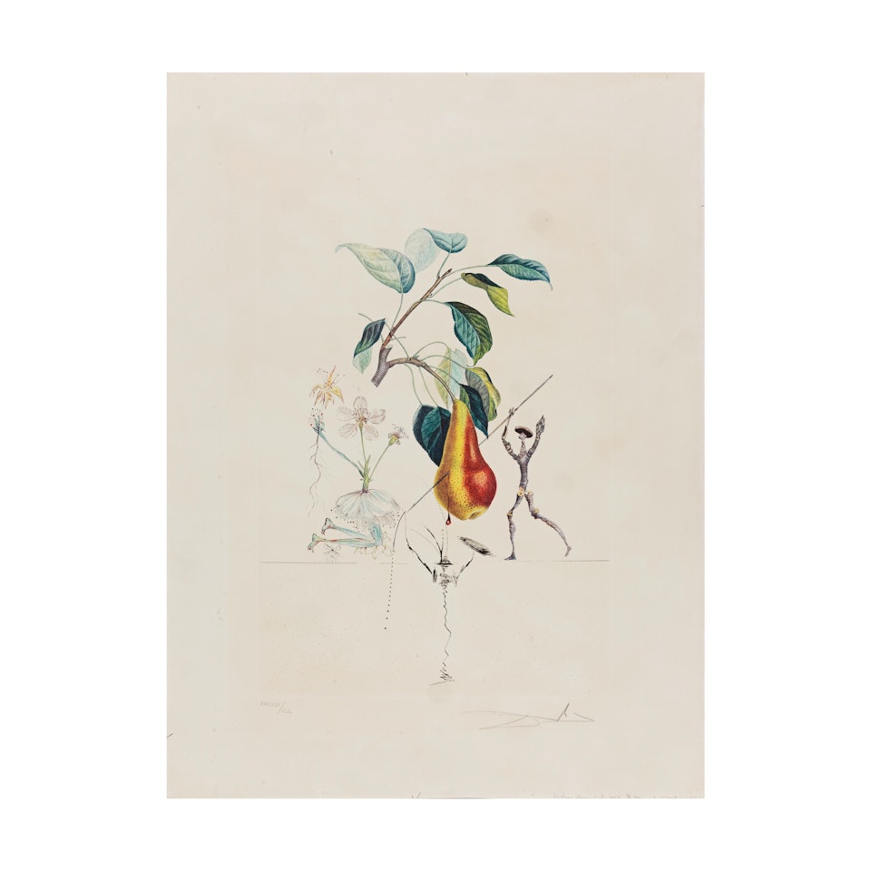 Flordali, Poire Don Quichotte by Salvador Dali
