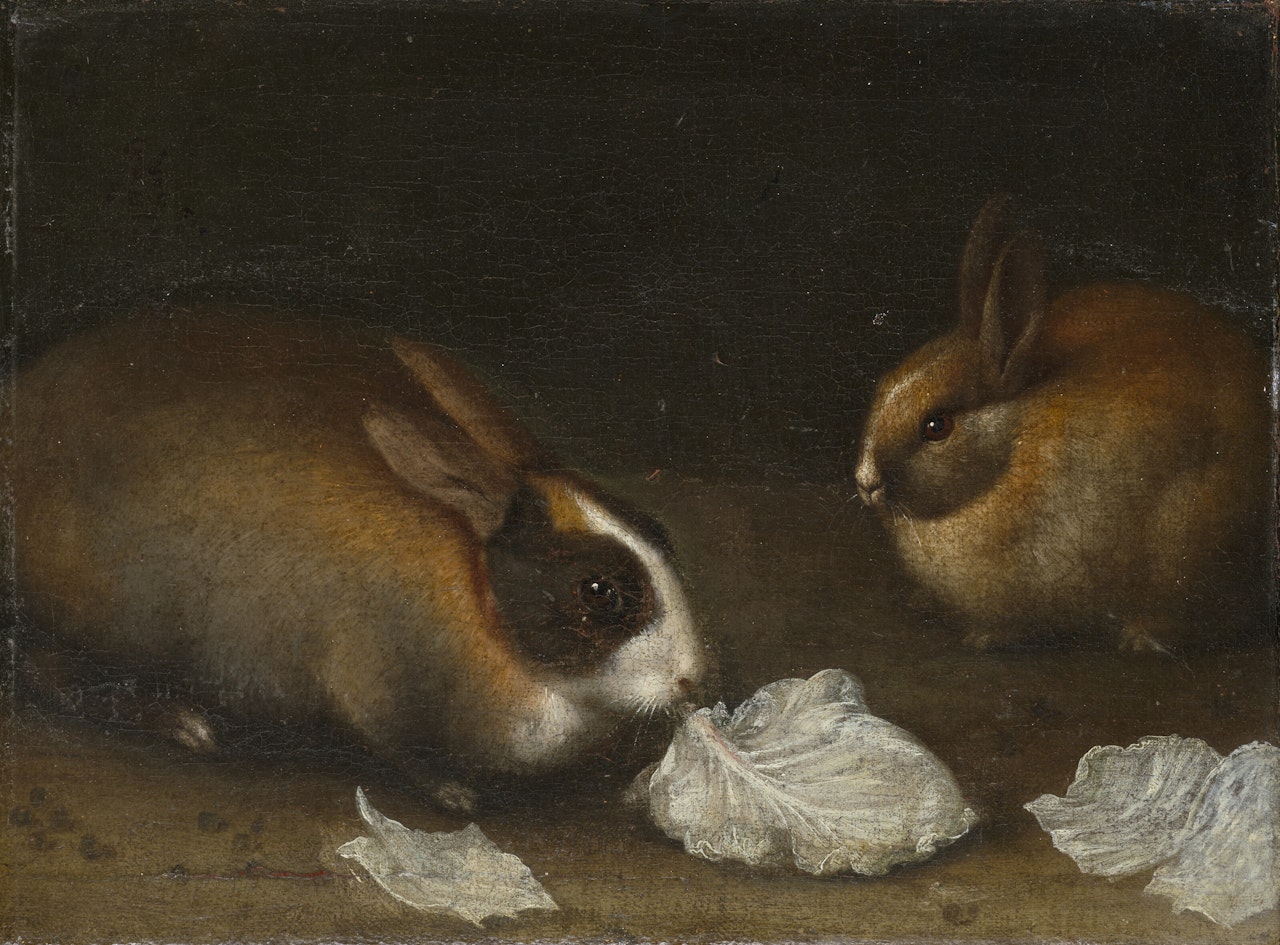 Deux lapins mangeant des feuilles de laitue by Italian School