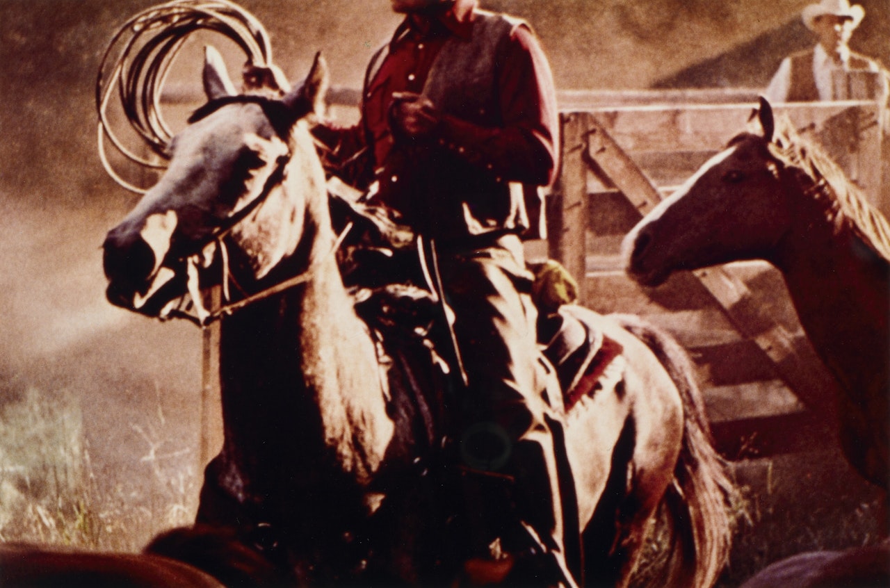 Untitled (Cowboy) by Richard Prince