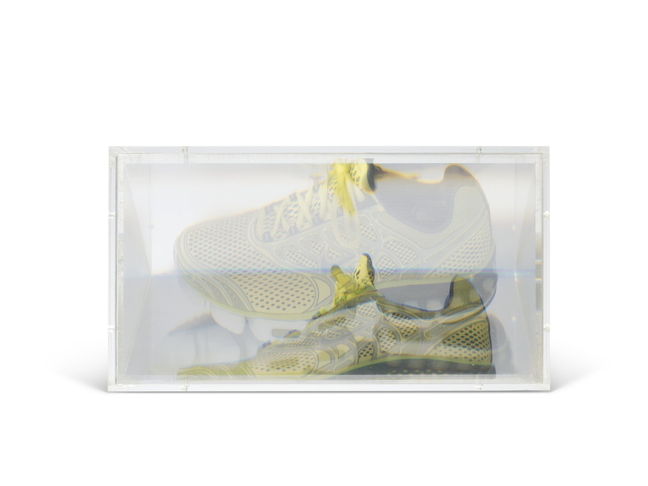 PixCell [Shoe#5(L)] by Kohei Nawa
