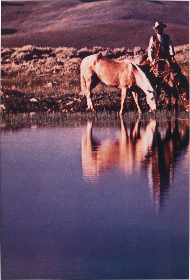 Untitled (Palomino) by Richard Prince