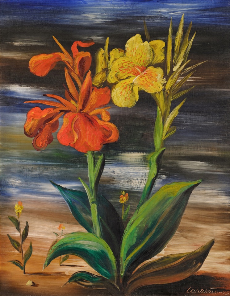 Sin título (Flores) by Mario Carreno