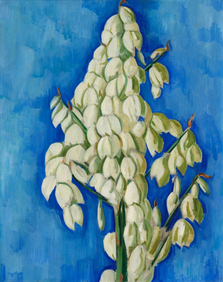 White Yucca by Marsden Hartley