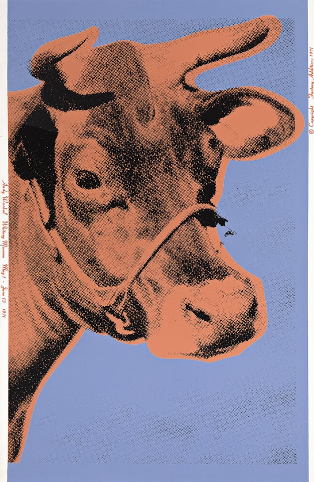 Cow . by Andy Warhol