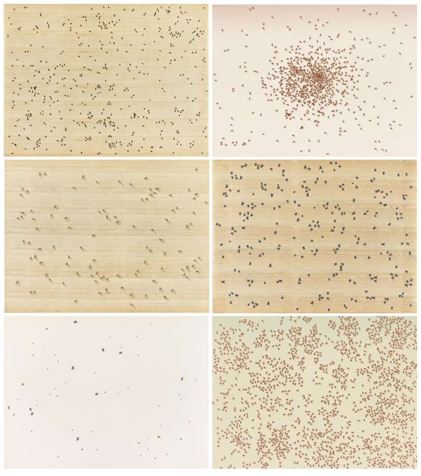 Insects . by Ed Ruscha