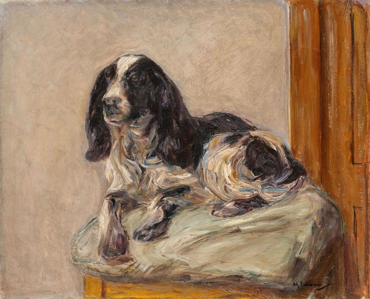 Liegender Spaniel by Max Liebermann