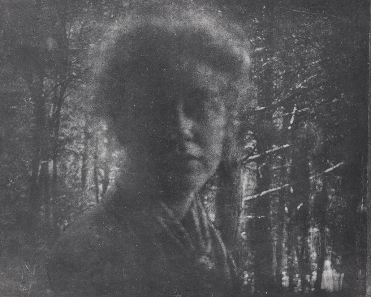 Girl in the pinewoods by Edward Steichen