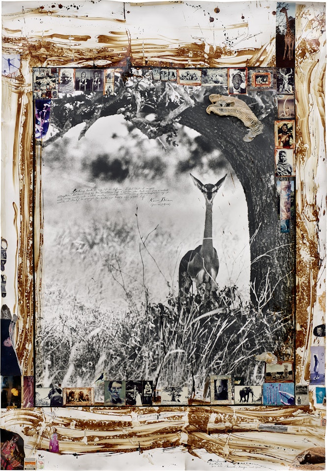 Female Gerenuk on the Tiva, Tsavo North, near Kathamula (before the die-off), February, 1965 by Peter Beard