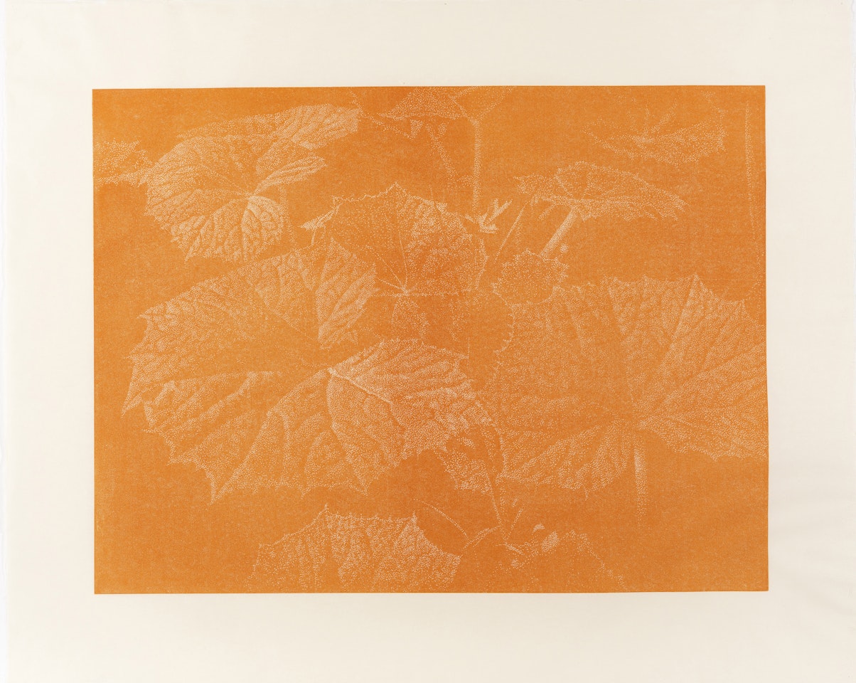 Bagatelle II. Pestwurz by Franz Gertsch