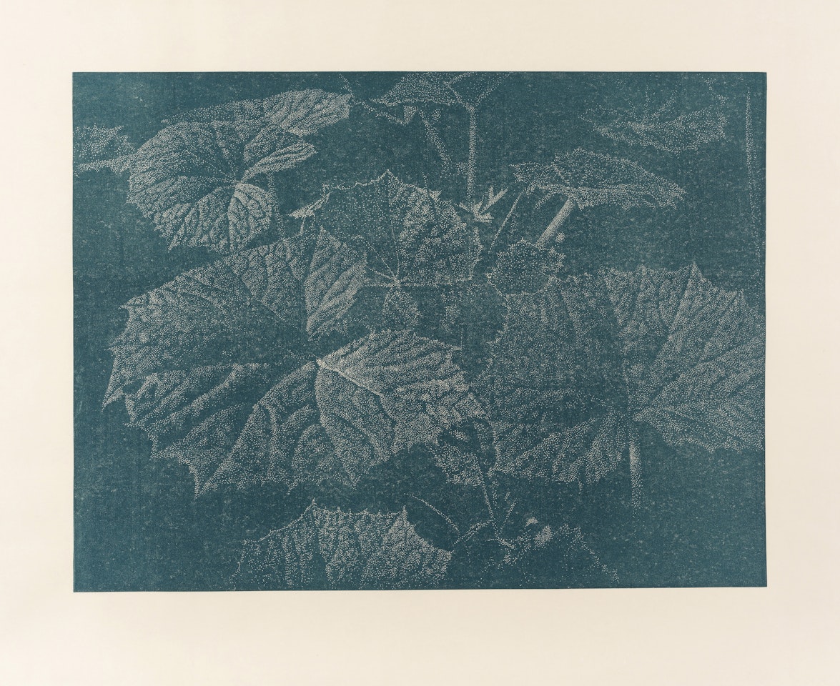 Bagatelle II. Pestwurz by Franz Gertsch
