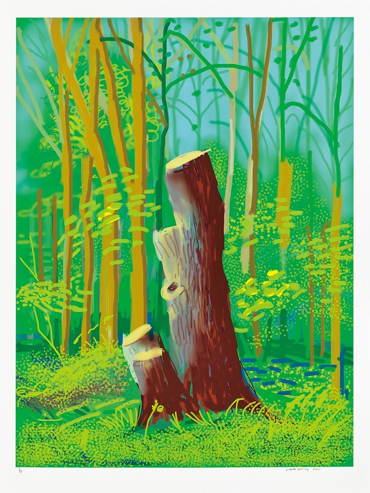 The Arrival of Spring in Woldgate, East Yorkshire in 2011 (Twenty Eleven) - 24 April by David Hockney