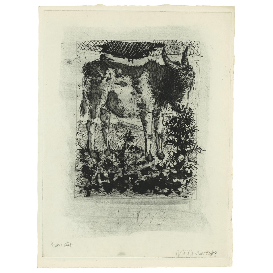 L"âne, from from Histoire naturelle: Eaux-fortes originales pour des textes de Buffon (4 works) (Bloch 329; Baer 576I,II,III,IVA, Cramer bk. 37) by Pablo Picasso