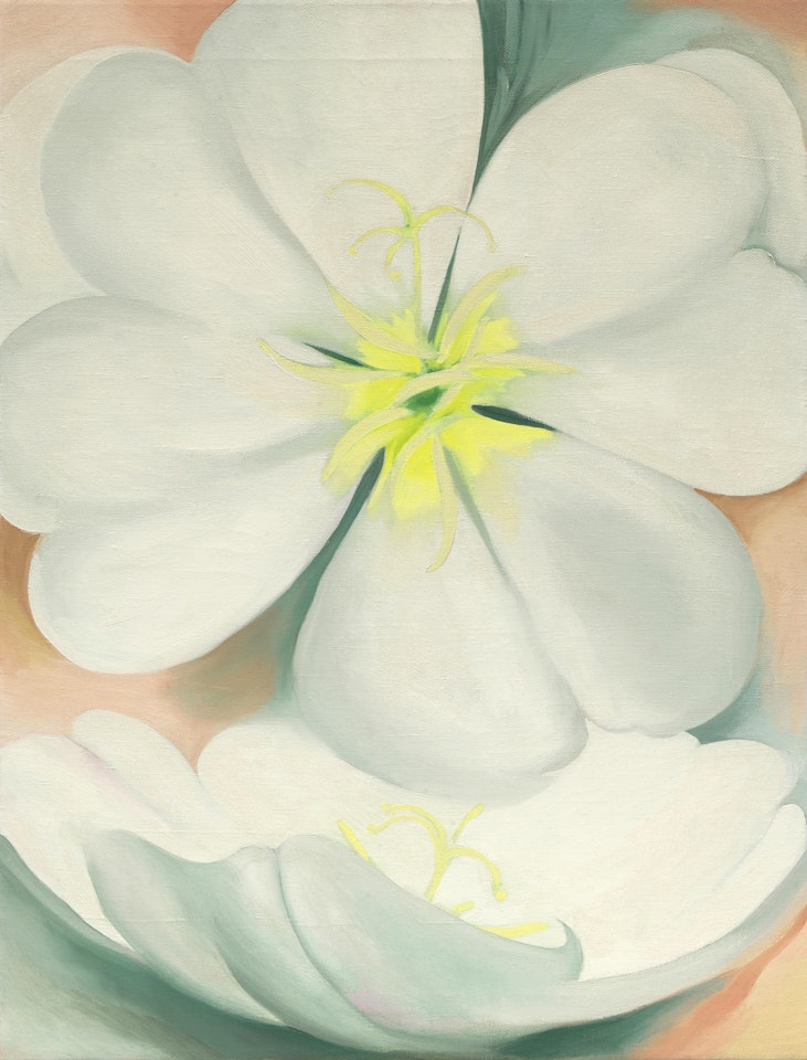 White Primrose by Georgia O'Keeffe