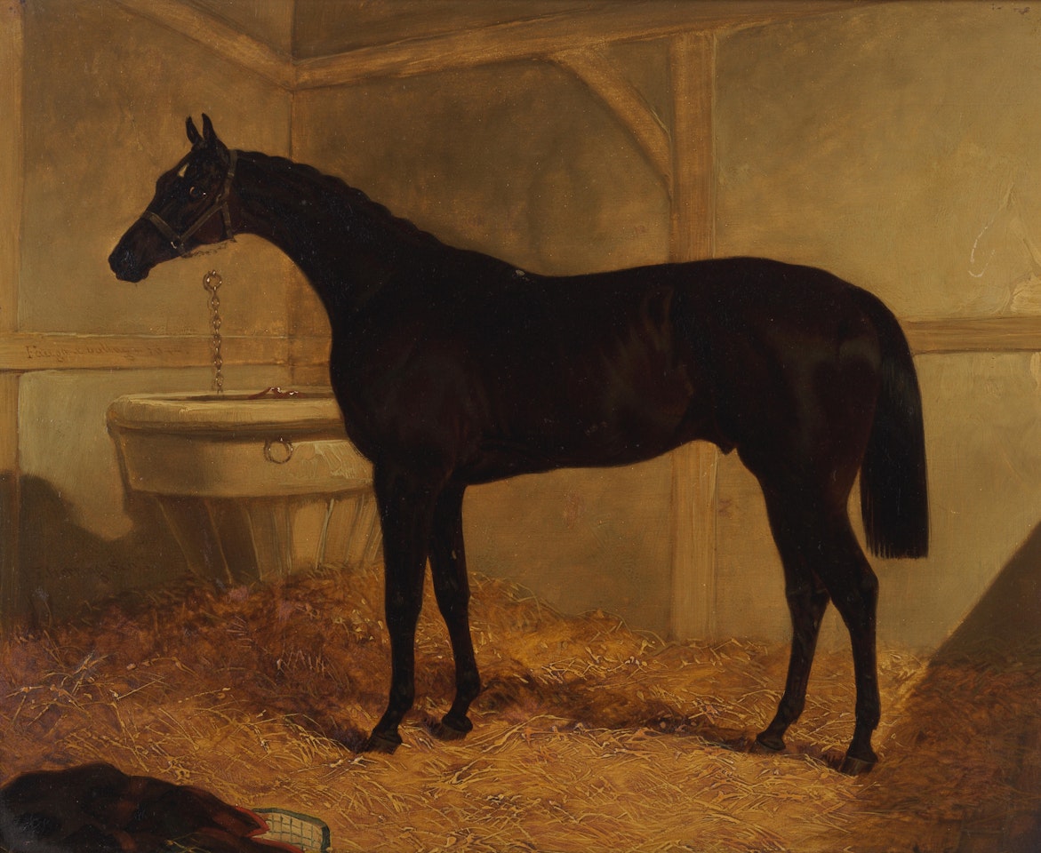 Mr E.J. Irwin"s Foig-a-ballagh, winner of the 1844 St Leger by John Frederick Herring