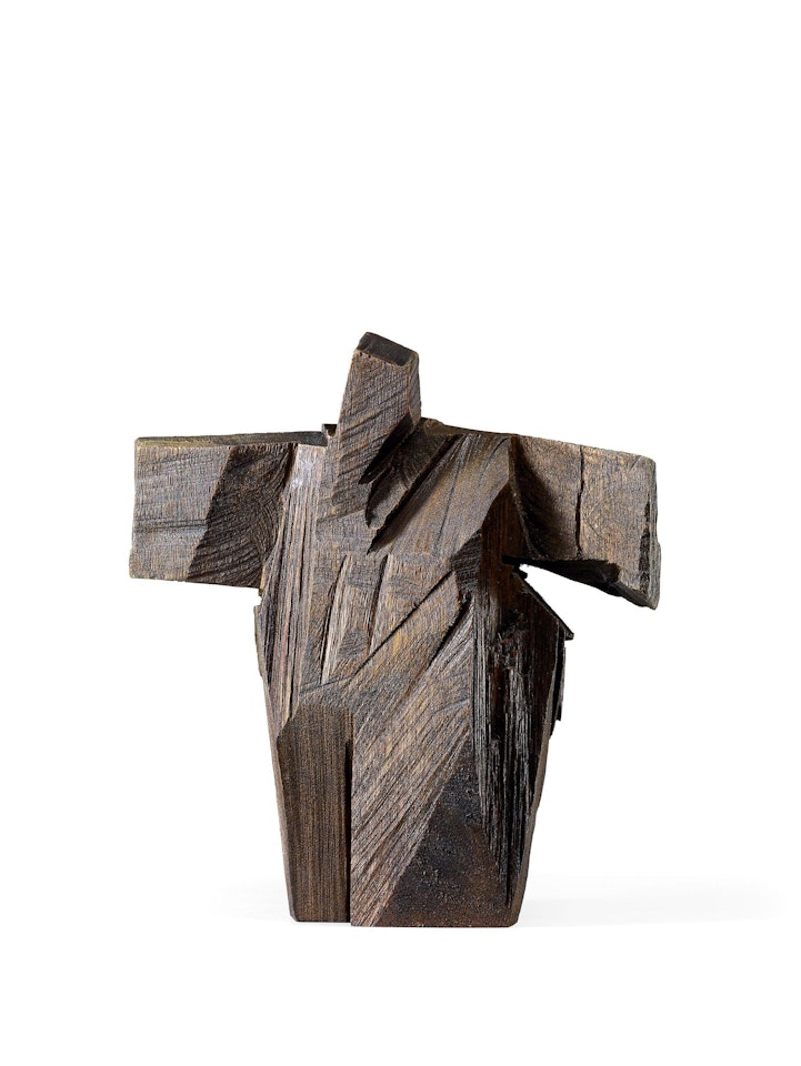 Taichi Series - Underarm Strike by Ju Ming