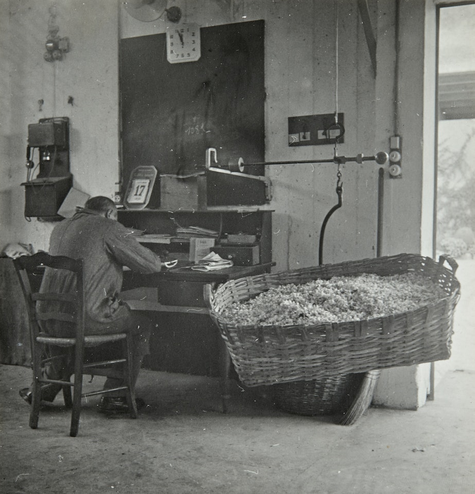 Arrivée des fleurs à la distillerie by Dora Maar